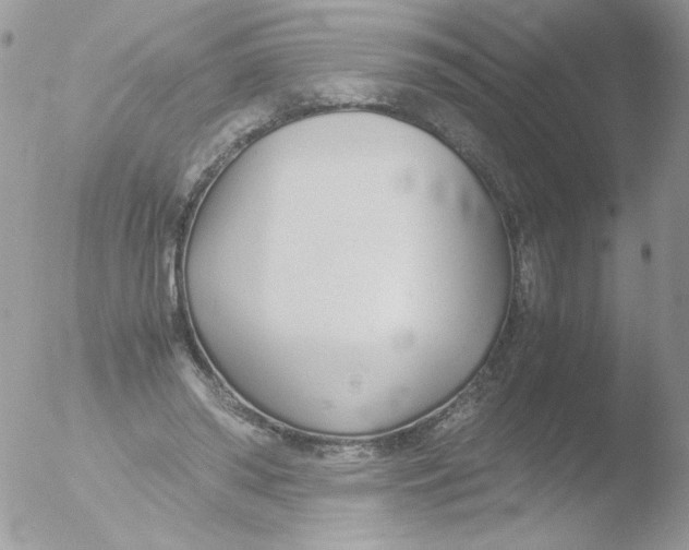 X0000051910398200507152036