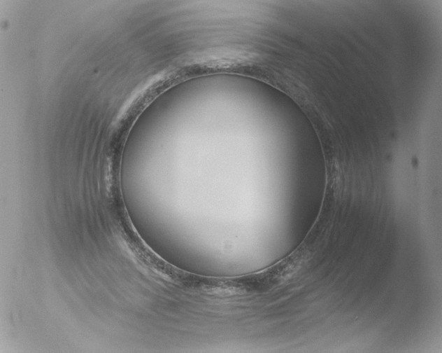 X0000051910400200507152036