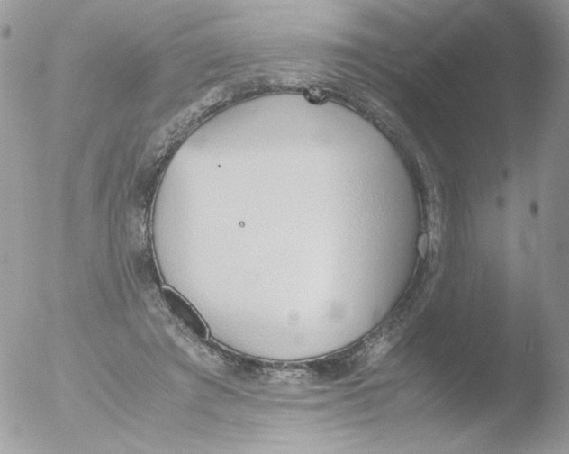 X0000051910401200507152036