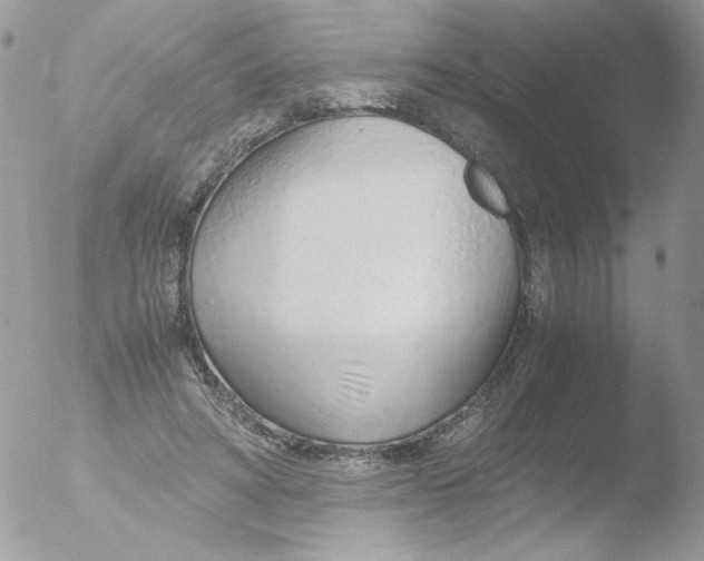 X0000051910402200507152036