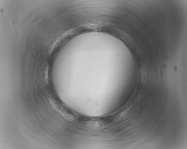 X0000051910404200507152036