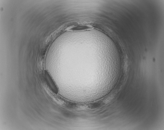 X0000051910405200507152036