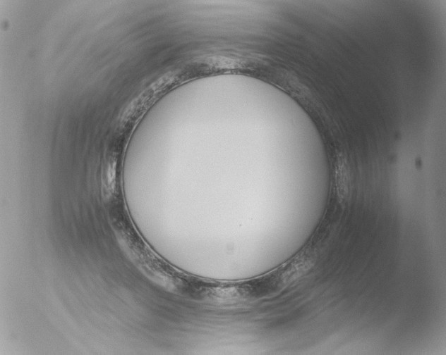 X0000051910406200507152036