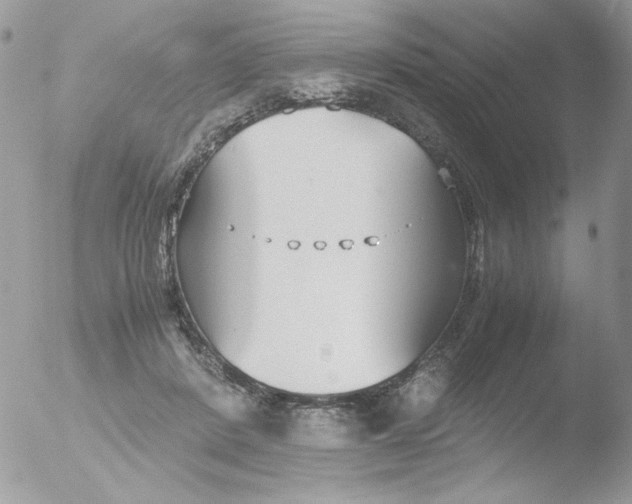 X0000051910408200507152036