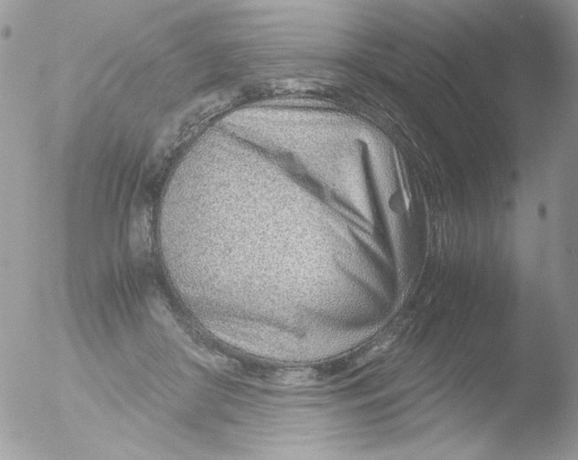 X0000051910410200507152036