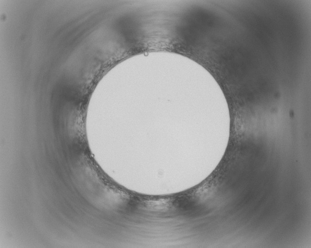 X0000051910411200507152036