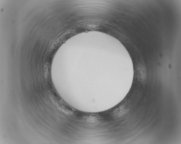 X0000051910412200507152036