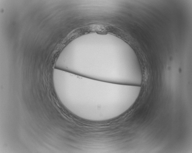 X0000051910413200507152036