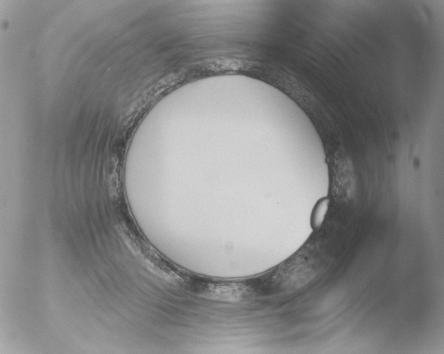 X0000051910414200507152036