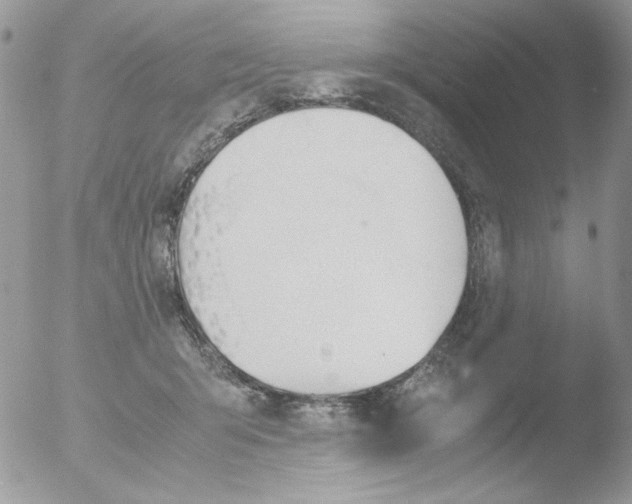 X0000051910415200507152036