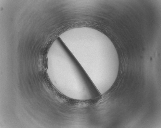 X0000051910416200507152036