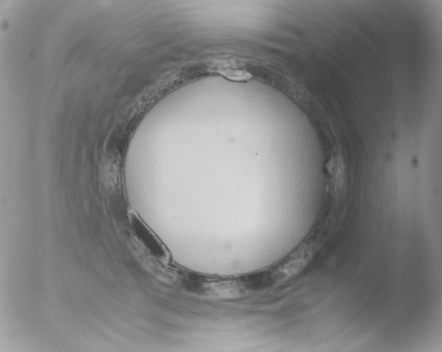 X0000051910417200507152036