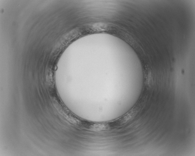 X0000051910418200507152036