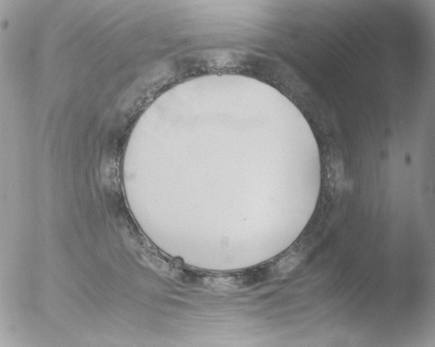 X0000051910419200507152036