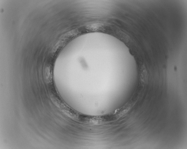 X0000051910420200507152036