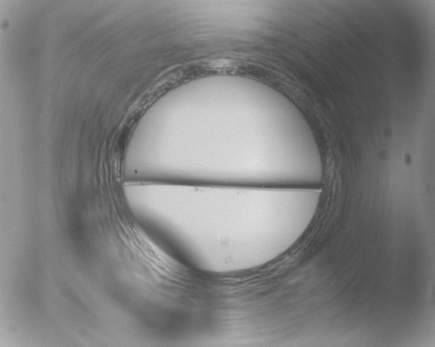 X0000051910421200507152036