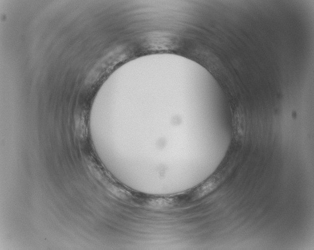 X0000051910422200507152036