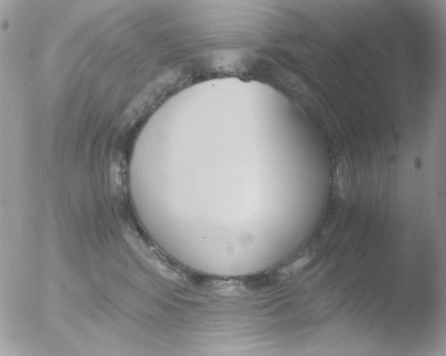 X0000051910424200507152036