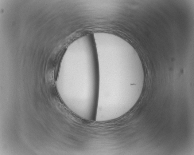 X0000051910425200507152036