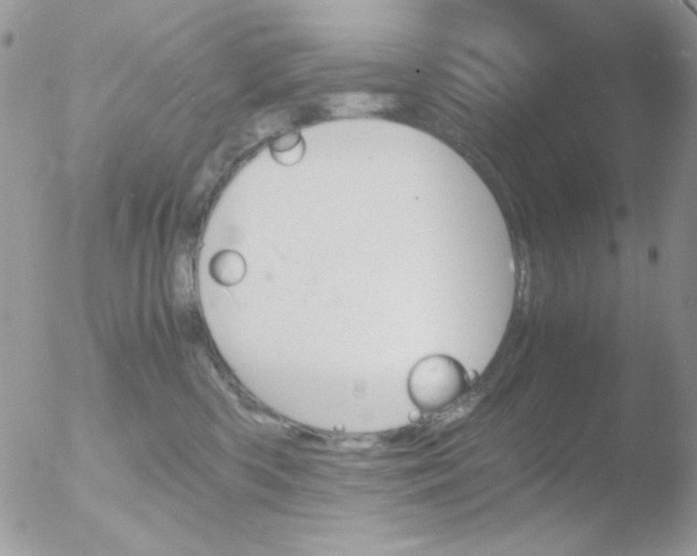 X0000051910426200507152036