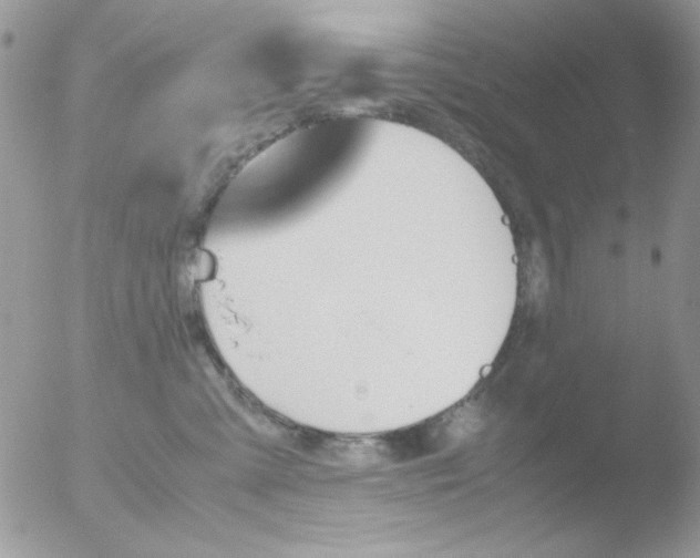 X0000051910427200507152036