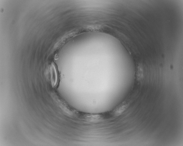 X0000051910428200507152036