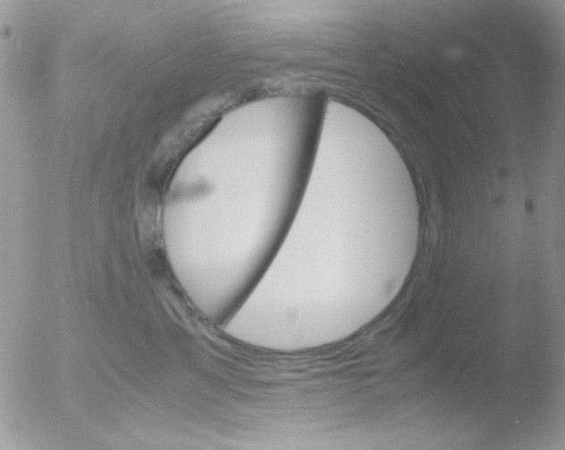 X0000051910429200507152036