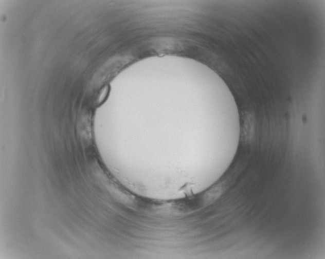 X0000051910430200507152036