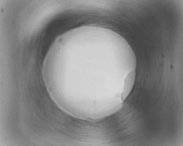 X0000051910431200507152036