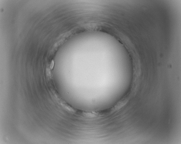 X0000051910432200507152036