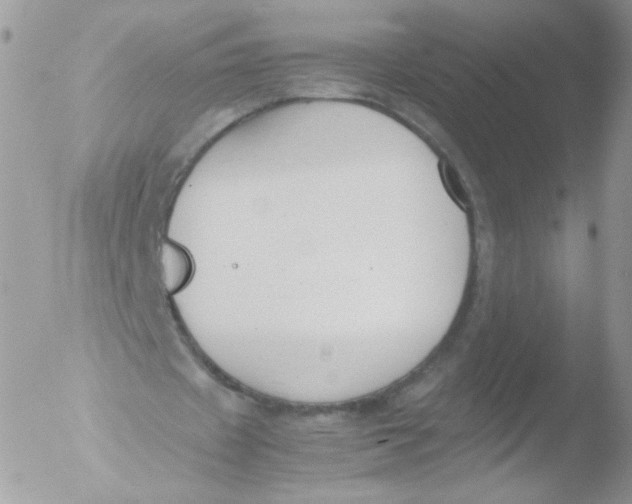 X0000051910433200507152035