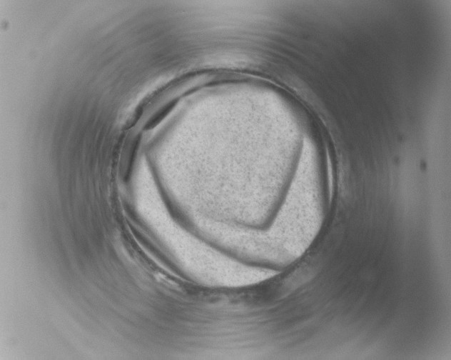 X0000051910434200507152035