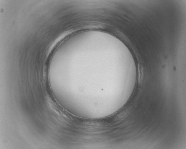 X0000051910435200507152035