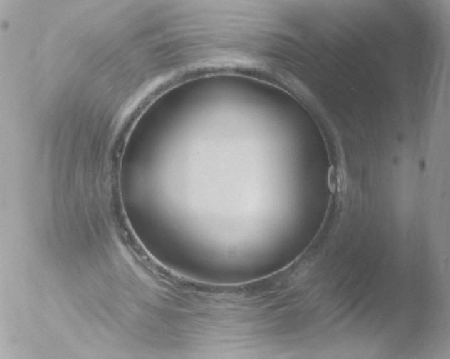 X0000051910436200507152035