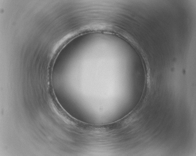 X0000051910438200507152035