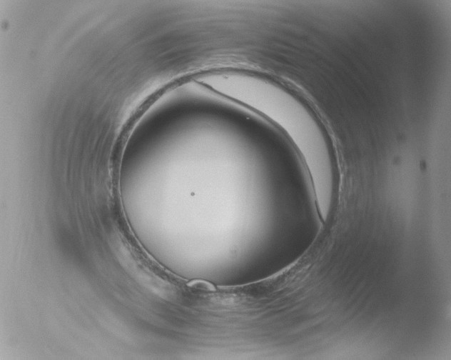 X0000051910439200507152035