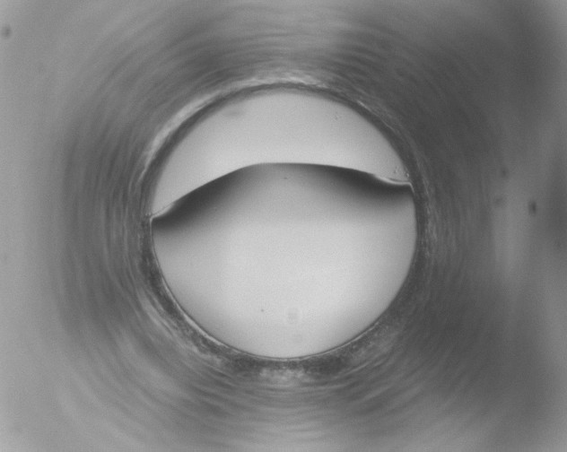 X0000051910440200507152035