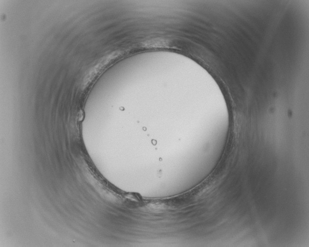 X0000051910441200507152035