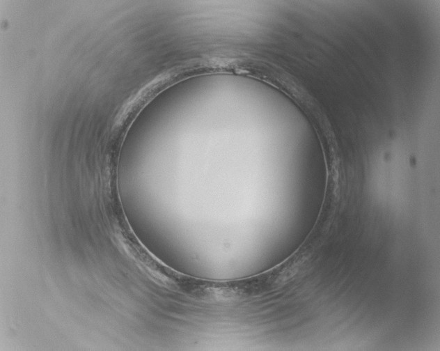 X0000051910442200507152035