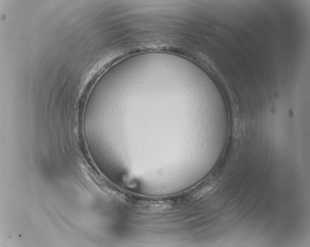 X0000051910443200507152035