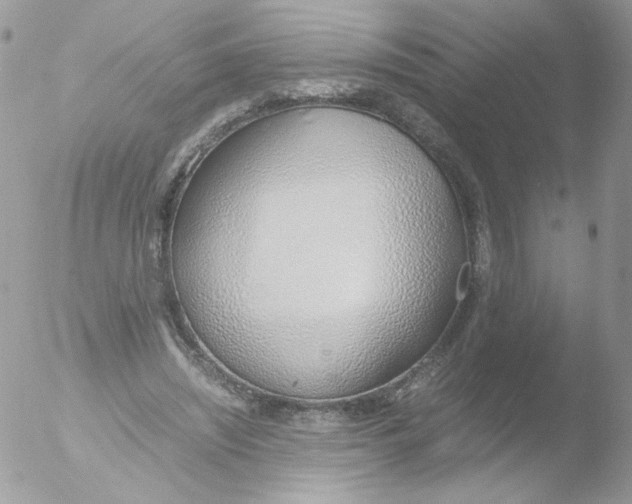 X0000051910444200507152035