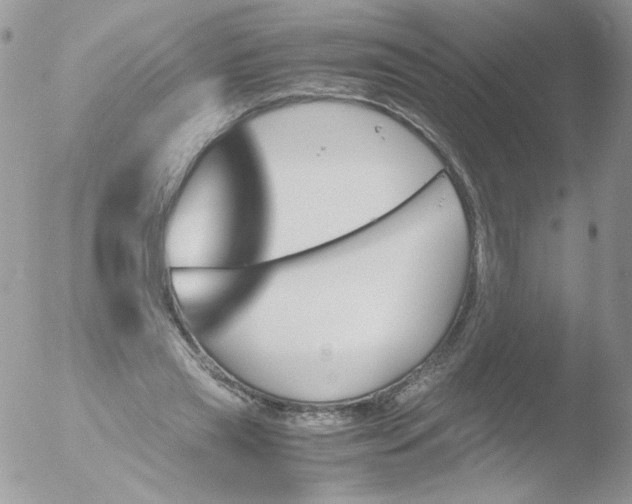 X0000051910445200507152035