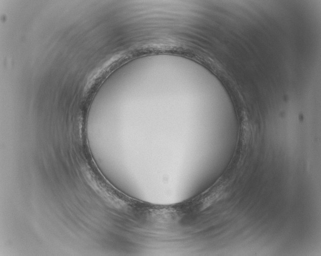 X0000051910446200507152035