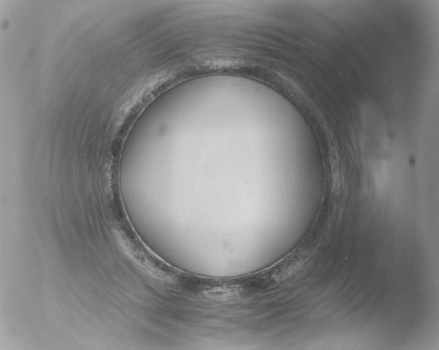 X0000051910447200507152035