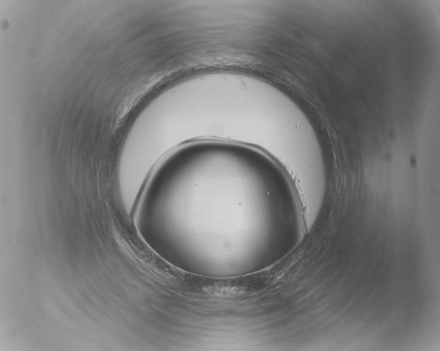 X0000051910448200507152035