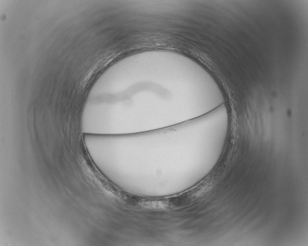 X0000051910449200507152035