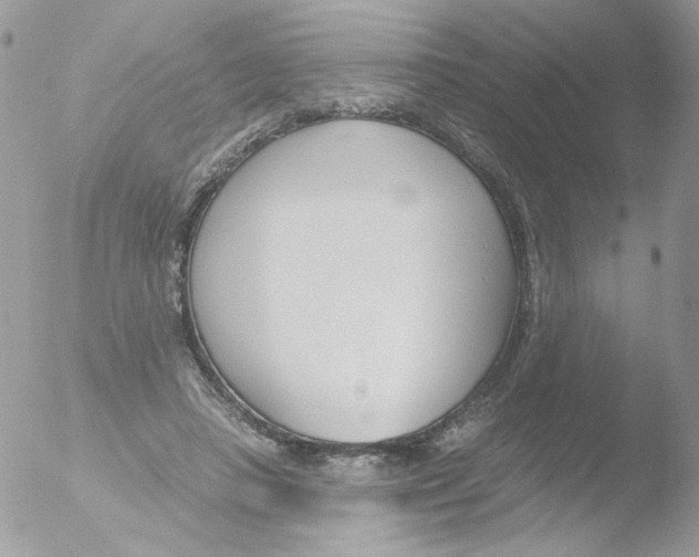 X0000051910450200507152035