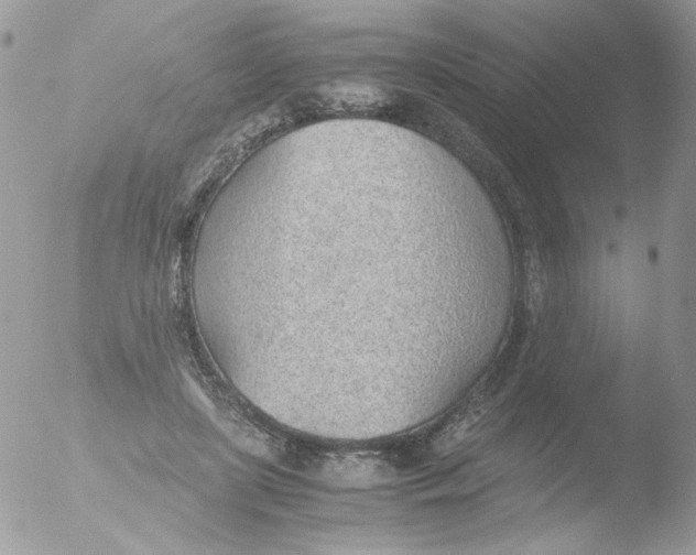 X0000051910451200507152035