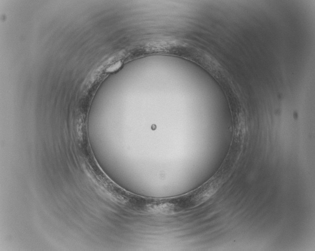 X0000051910452200507152035