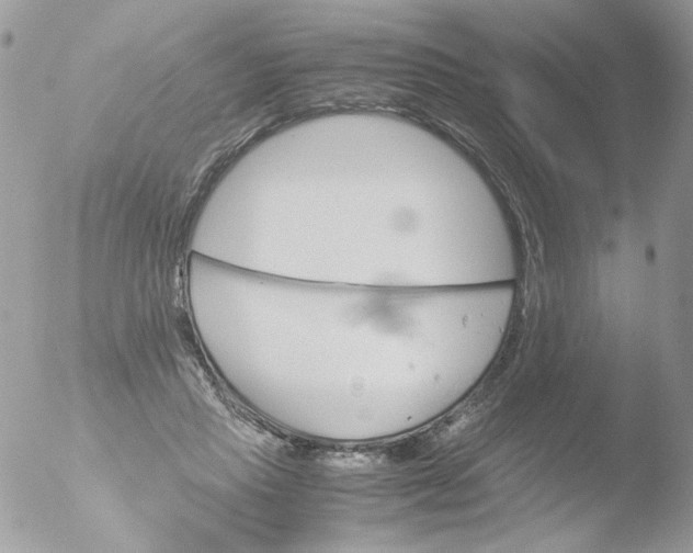 X0000051910453200507152035